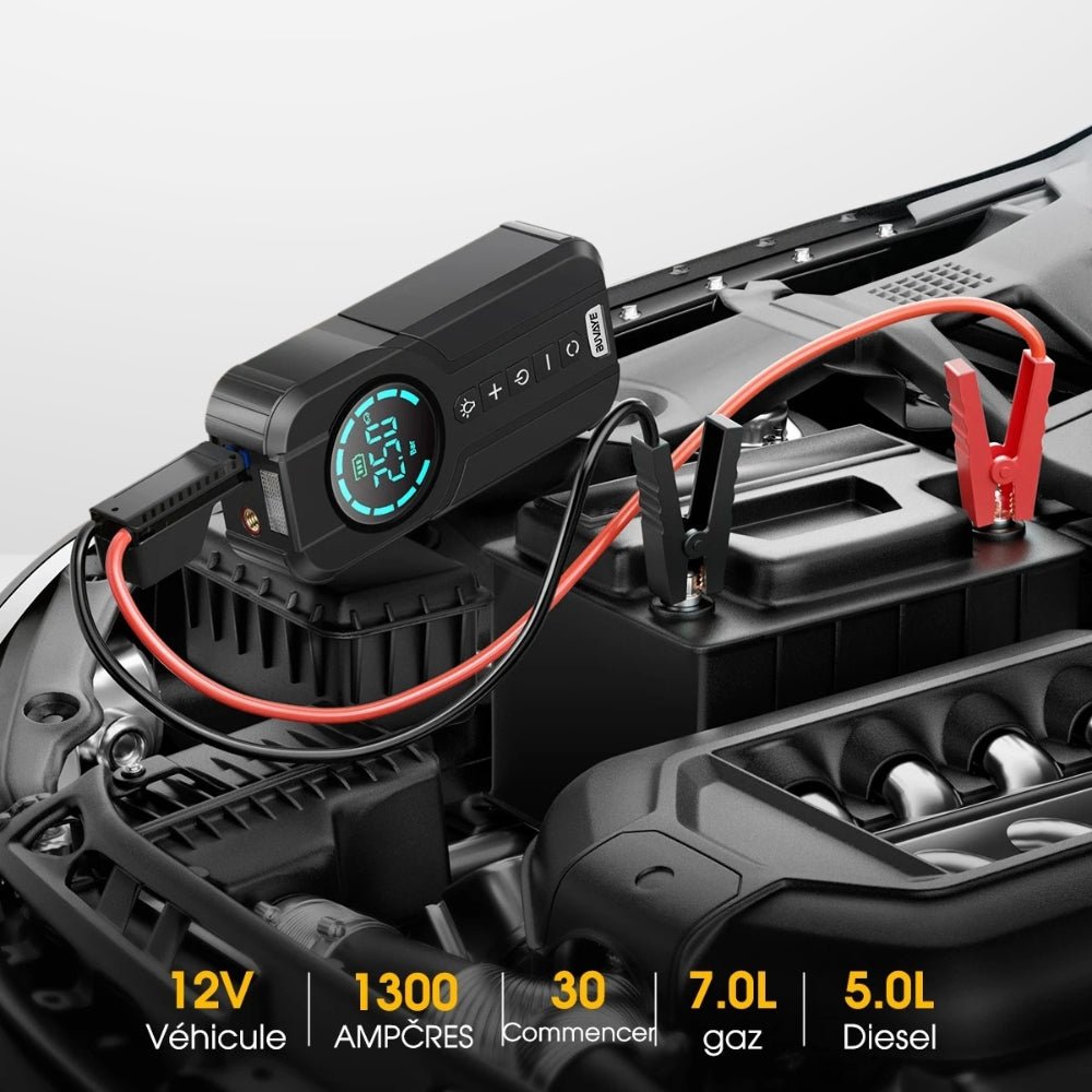 booster batterie 4 en 1 cosy2road